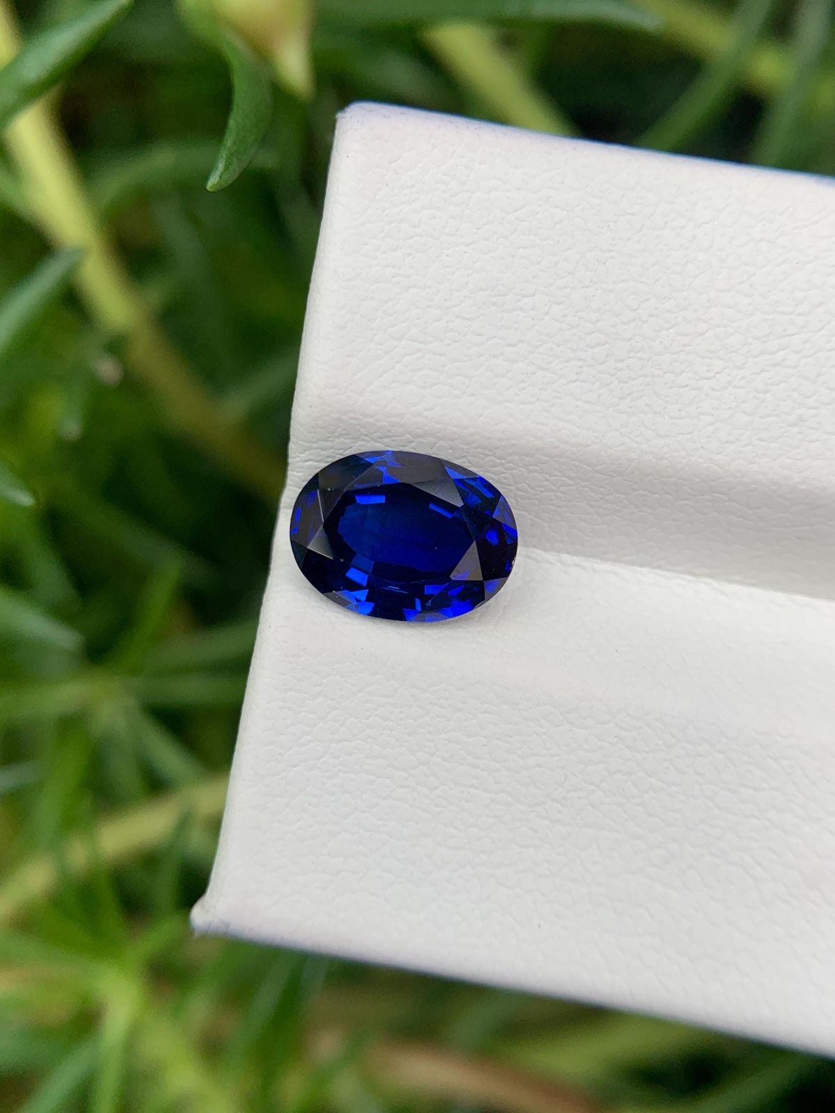 The Sovereign Sapphire