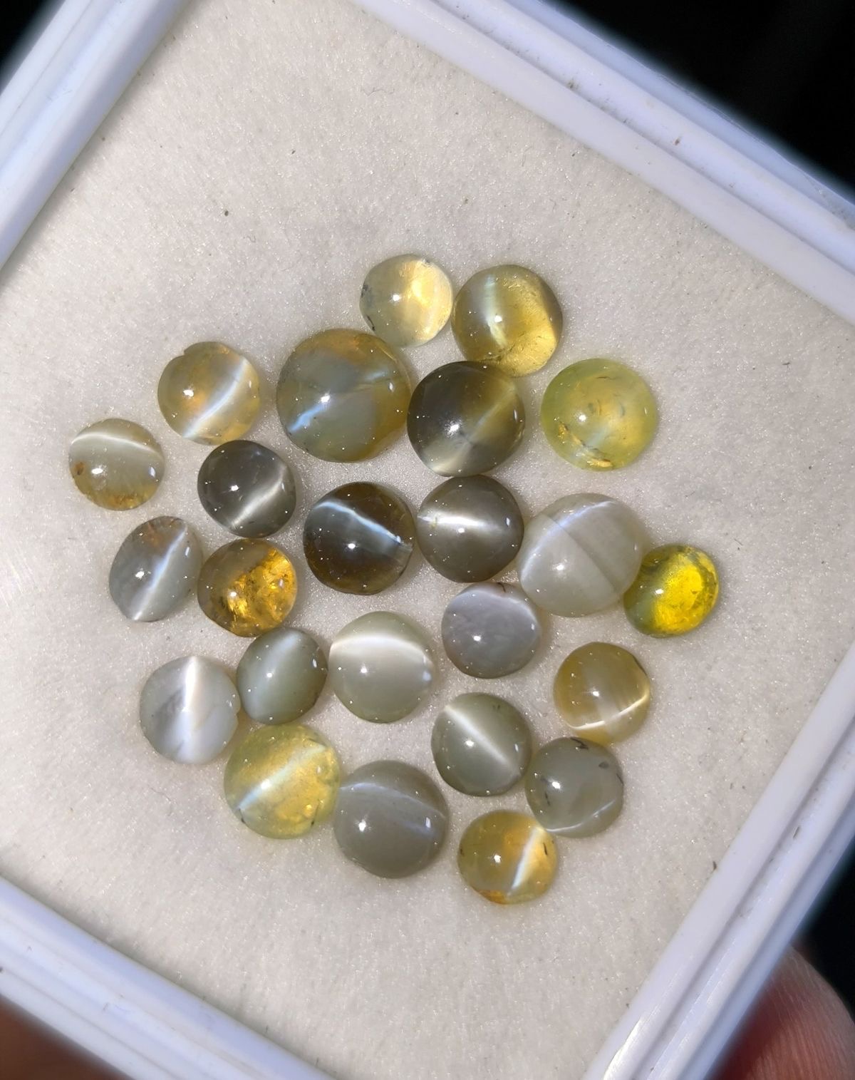Phenomenal Chrysoberyl Cat's Eye