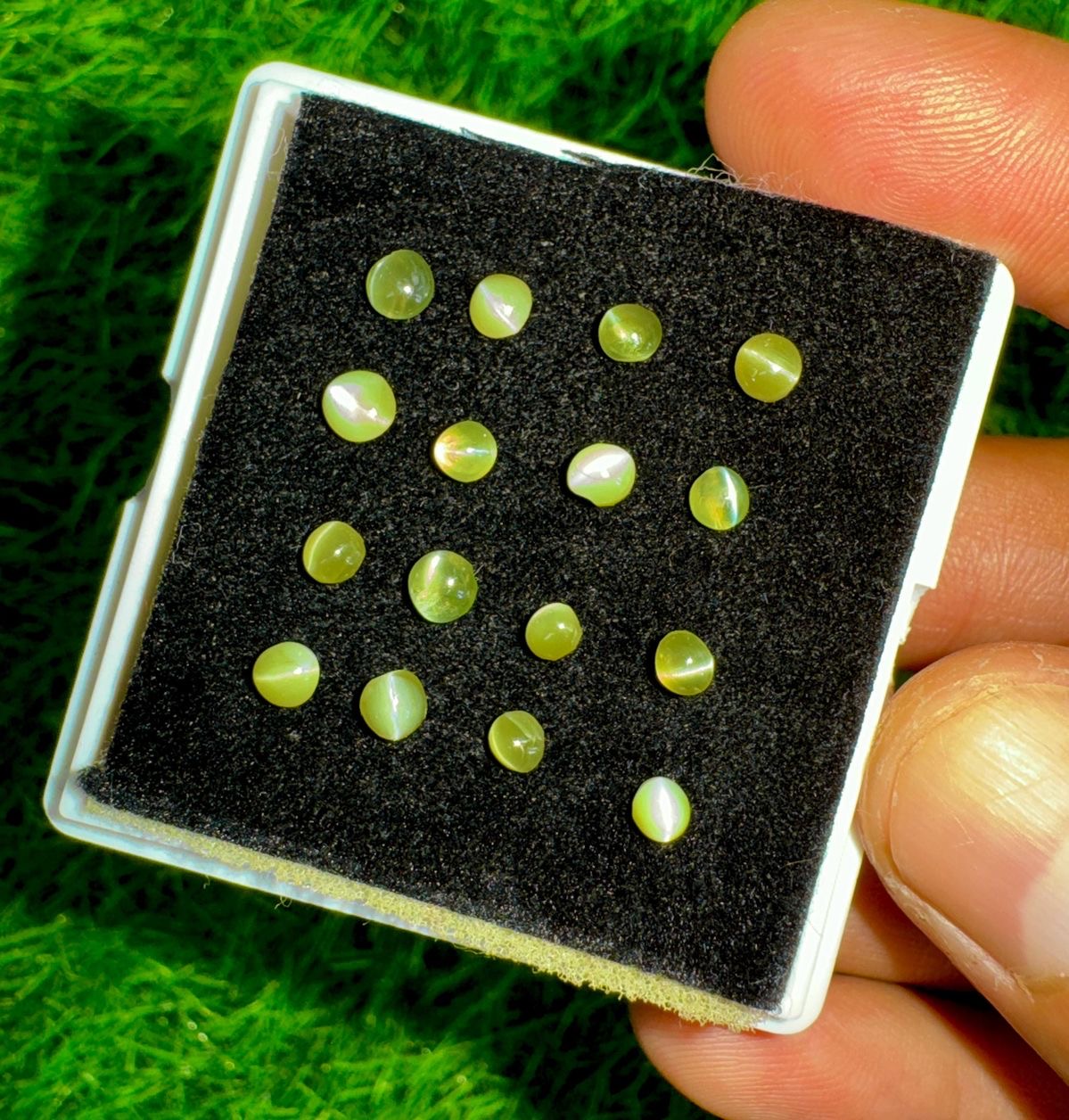 Luminous Silver-Line Cat's Eye