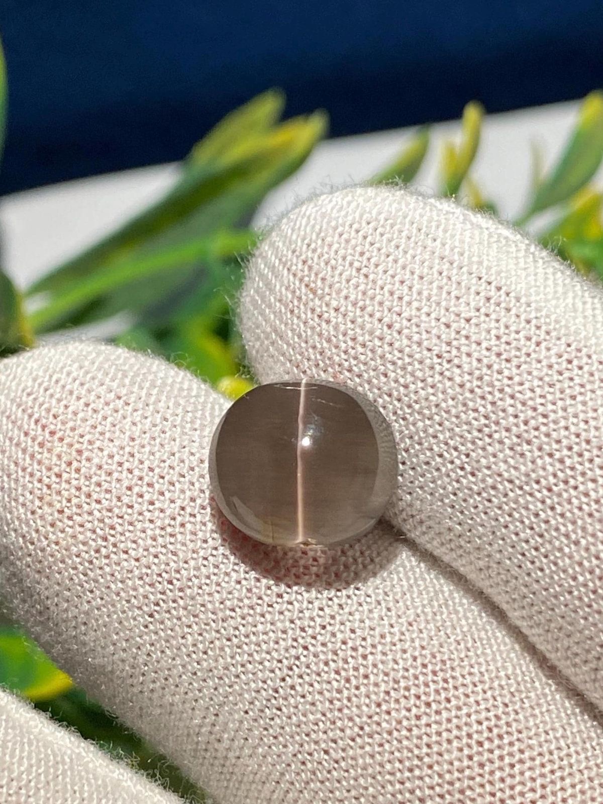 Mystic Chatoyant Cabochon