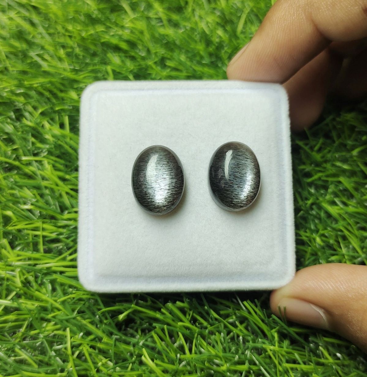 Radiant Olive Cat's Eye