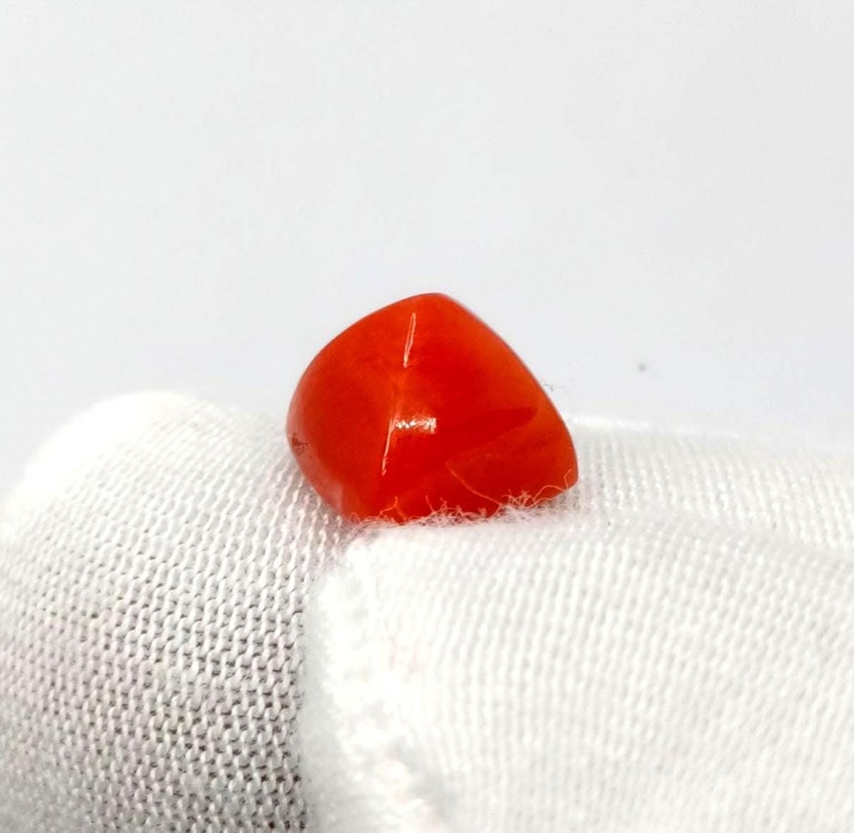 Vivid Mediterranean Coral