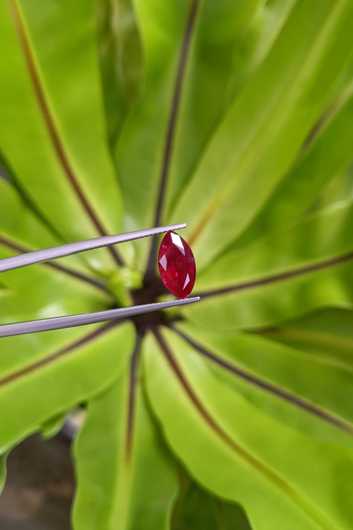 Royal Crimson Ruby