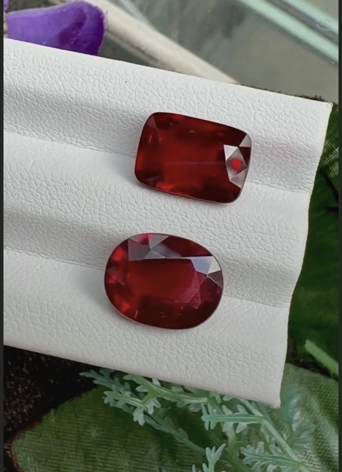 The Monarch Ruby