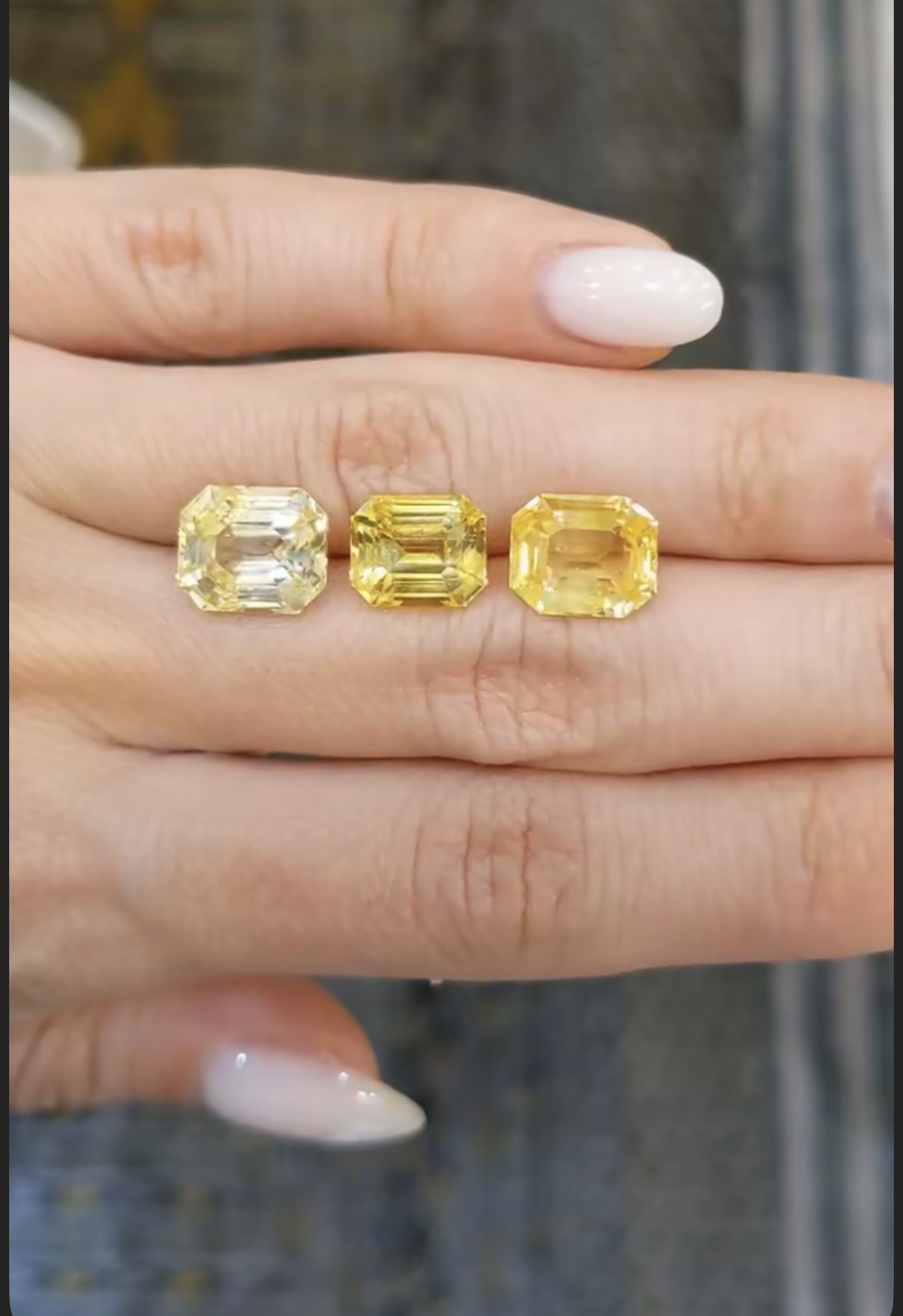 The Sovereign Yellow